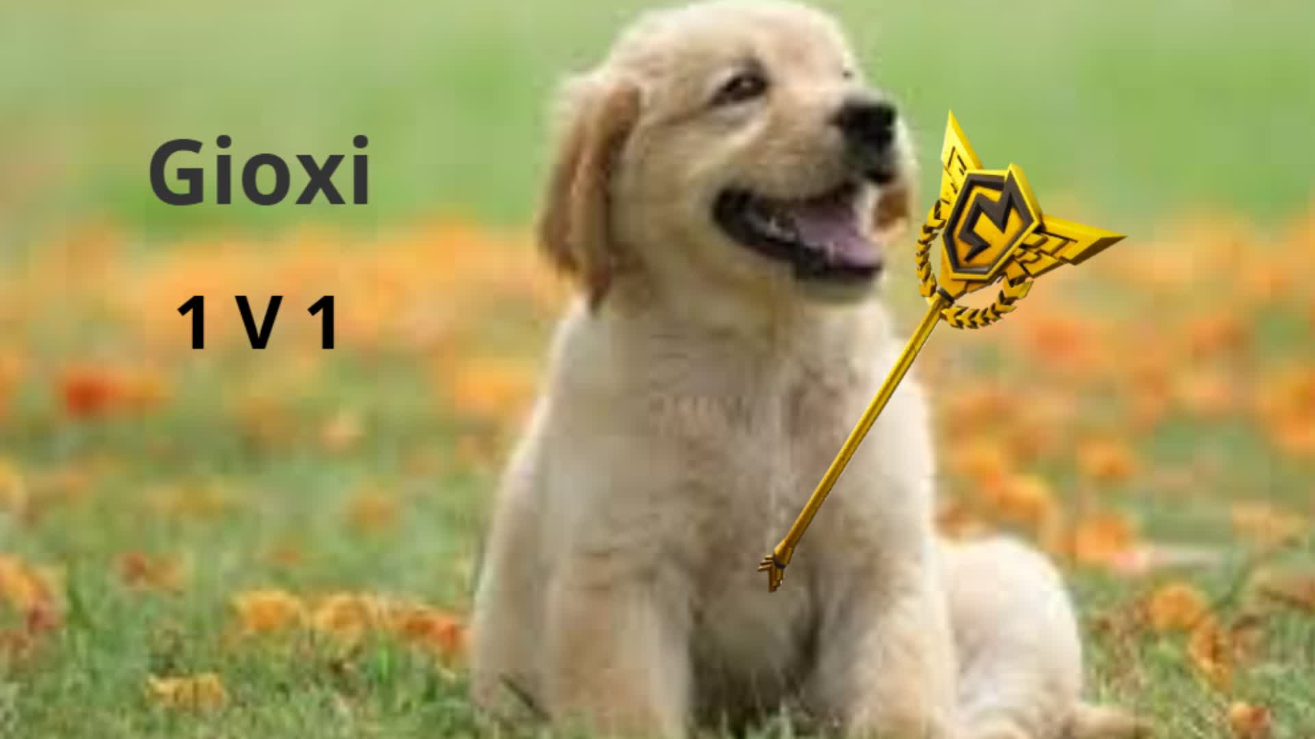 Gioxi 1v1 build fight
