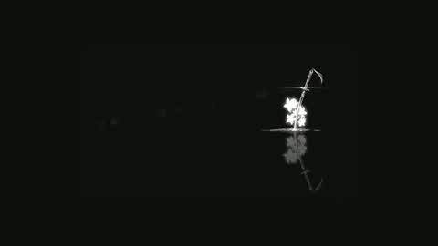 1V1 BUILD FIGHT [HVTSU]