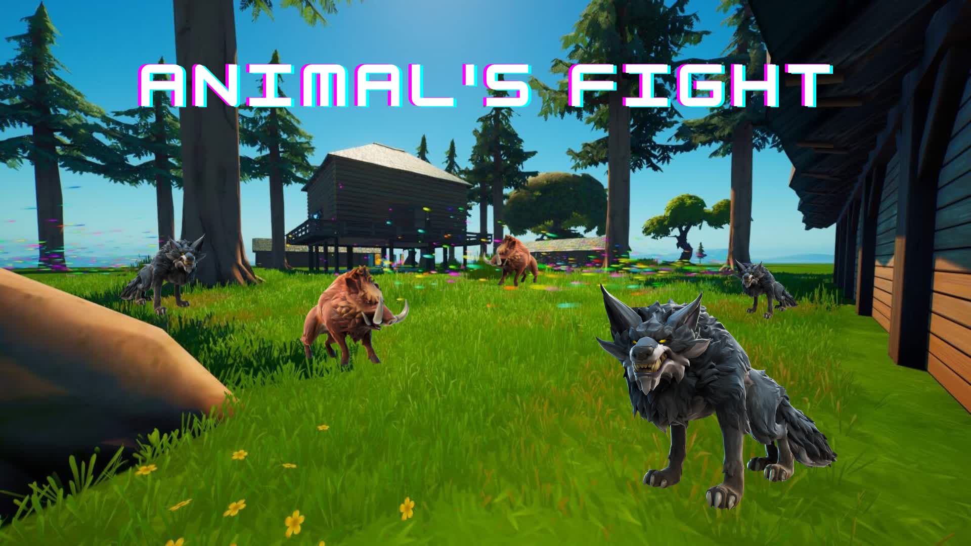 Animal's fight | MagNoa | 20joueurs
