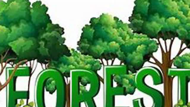 Forest FPS 2!