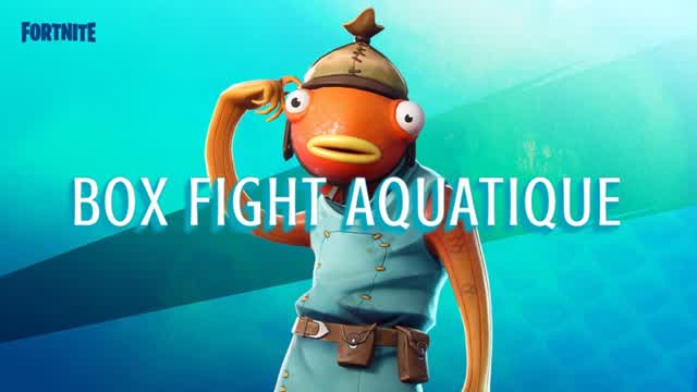 BOX FIGHT AQUATIQUE