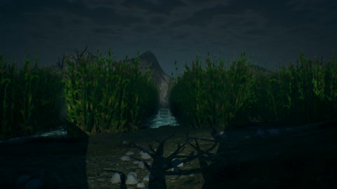 Island image