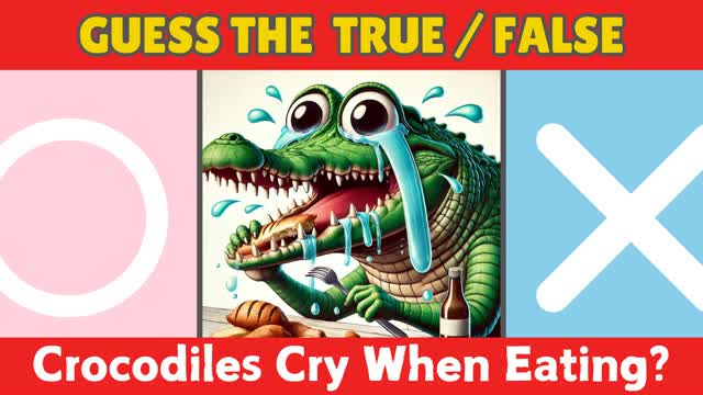 Guess the True/False â
ïž