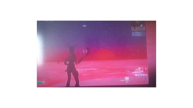 Primebears Pit Free For All