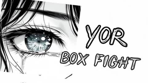 BOX FIGHTYOR