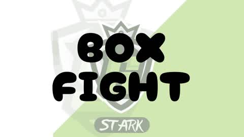 STARK BOX FIGHT