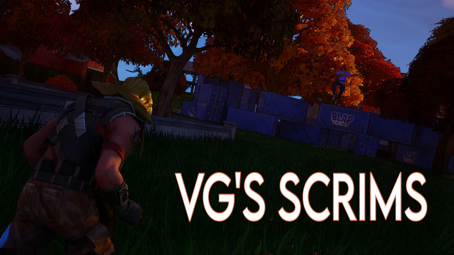 Vg’s Scrims