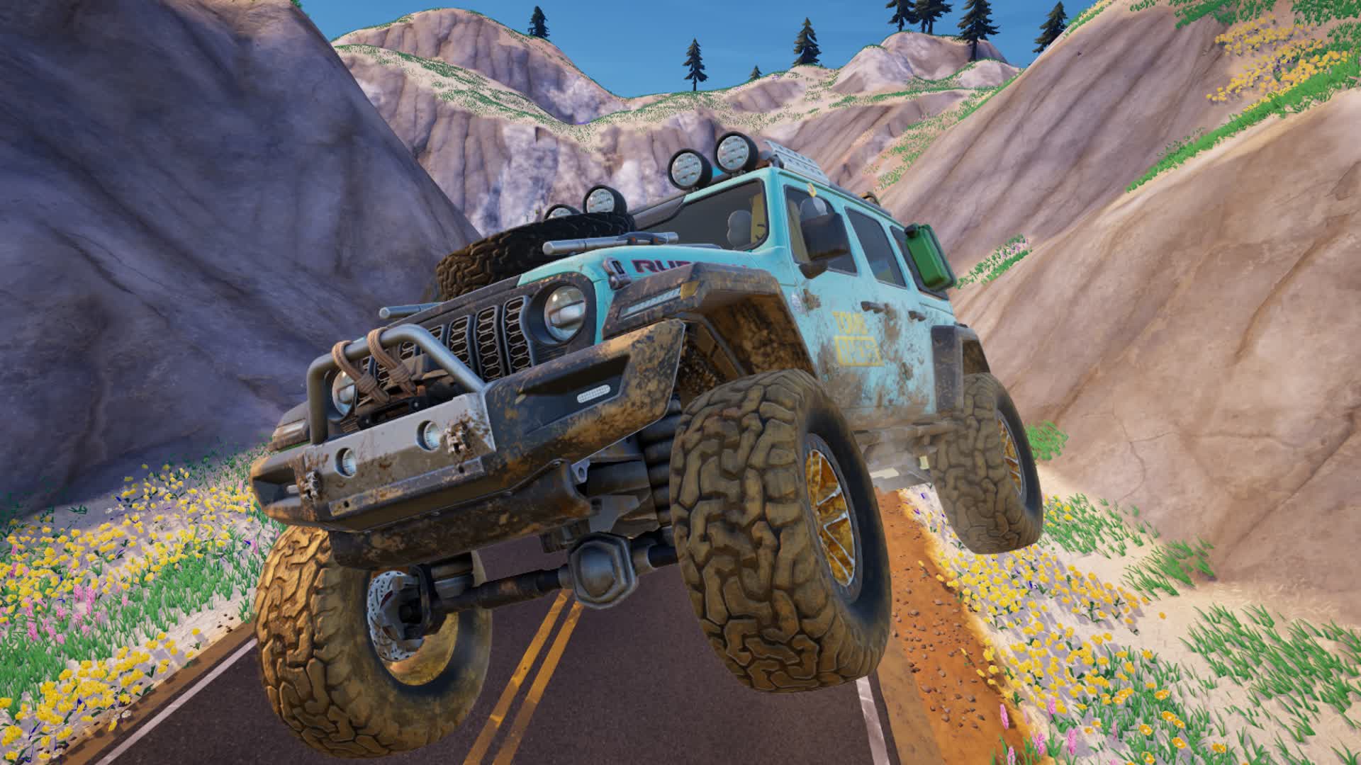 MOUNTAIN ROAD DRIVE 19