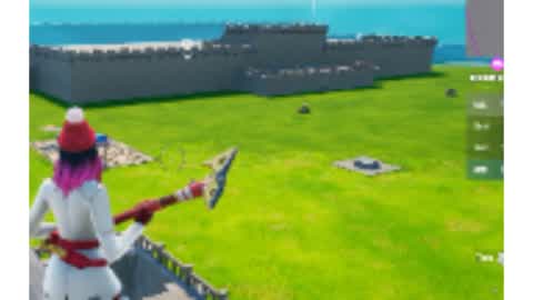 Castle zone wars