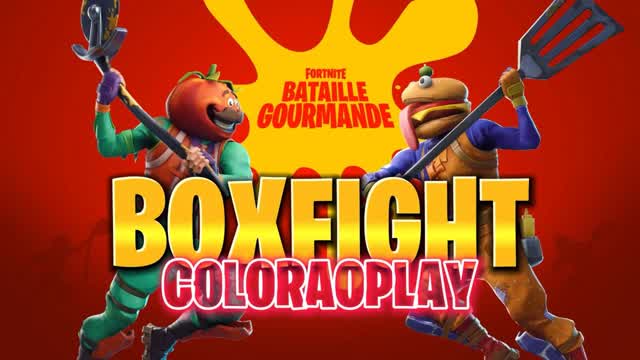 đBOXFIGHT COLORAOPLAYđ