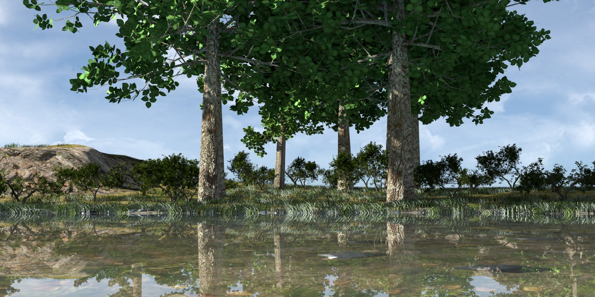 Map Image 2