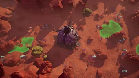 TMNT Summer Dimensions (Experimental)