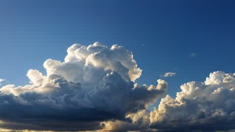 Crackdown battle royale