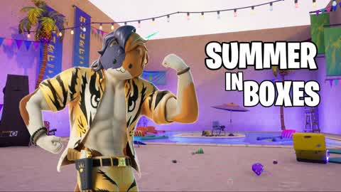 SUMMER IN BOXES | BOXFIGHT