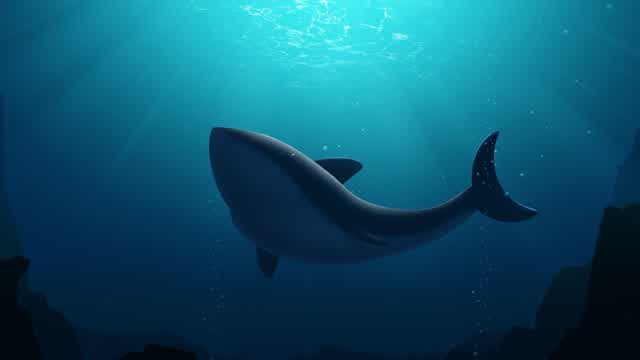 Capture 1 – Sharky's Pinball