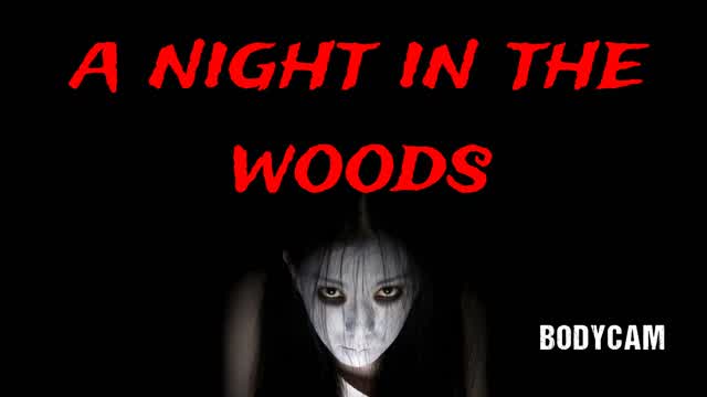 (HORROR) NIGHT IN THE WOODS