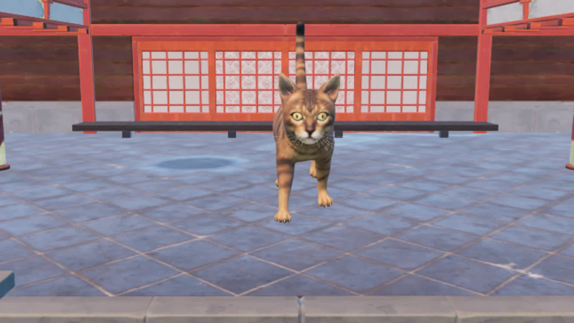 MEET CAT