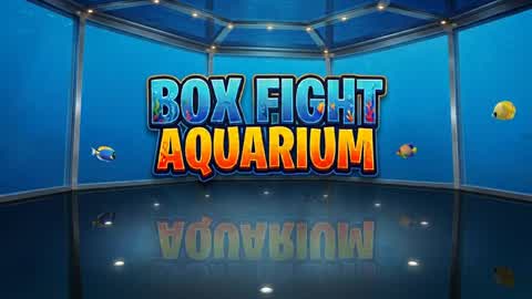 Box Fight Aquarium