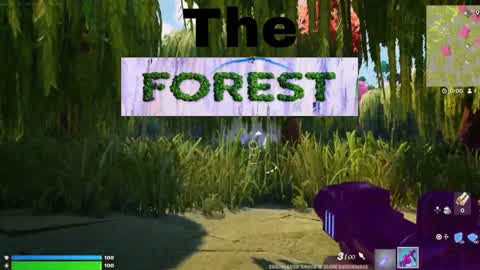 The forest