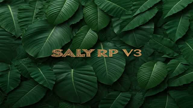 Saly rp v3 🌴