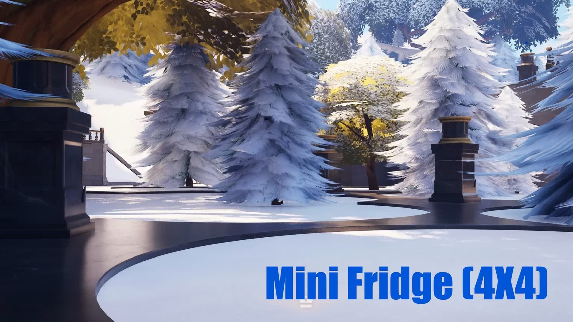 Mini Fridge (4X4)