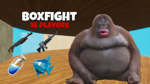 Stinki Boxfight đЧ