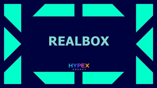 REAL BOXFIGHT