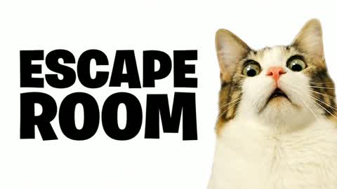 BRAINROT ESCAPE