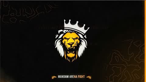 Mandam Arena Fight ✨
