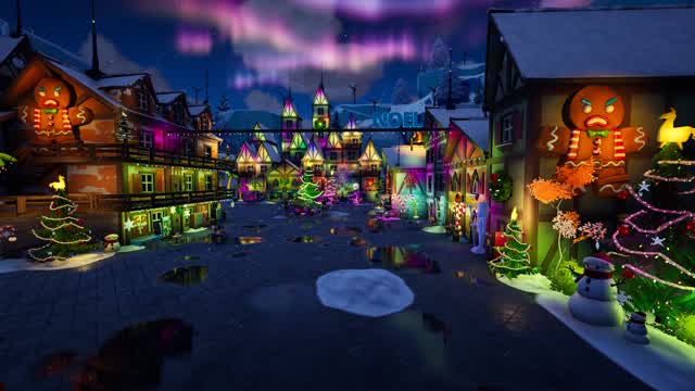 Festive Fortography
