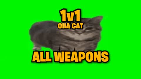 OIIA CAT 1v1 - UPDATED