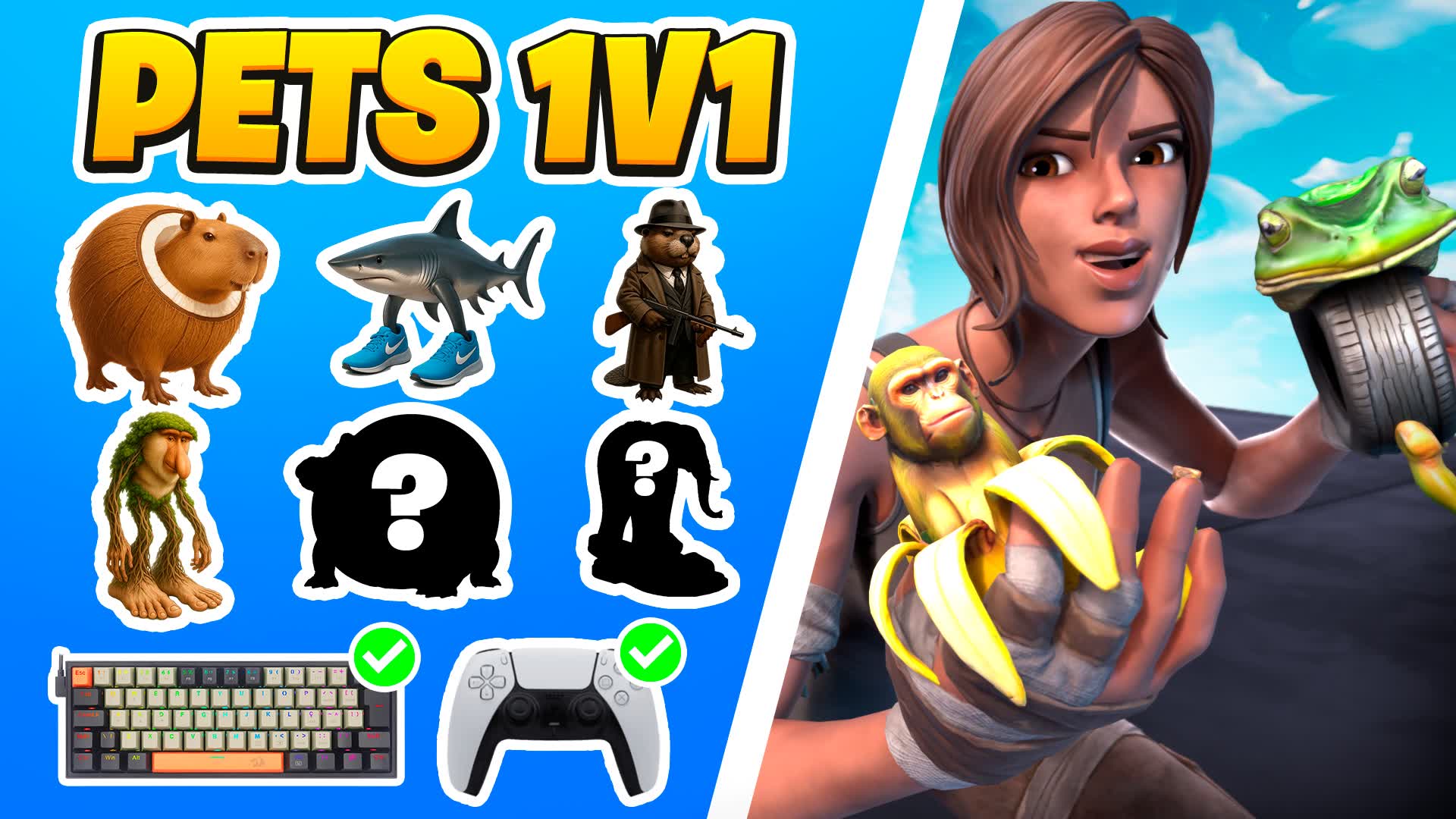 pets 1v1 map