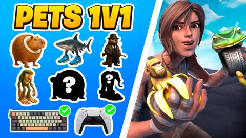 pets 1v1 map