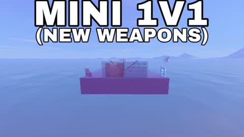 Mini 1v1
