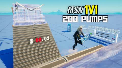 MSN 1V1 200 PUMPS