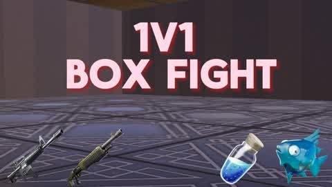 1v1 box fight