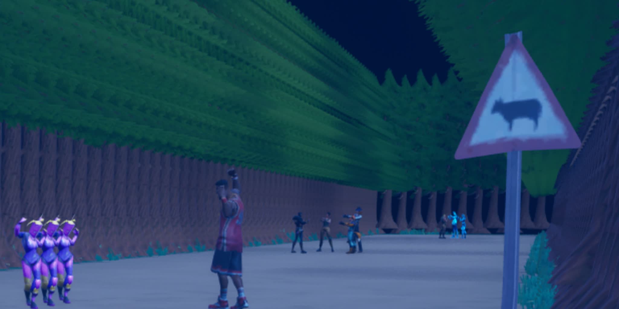 Map Image 2