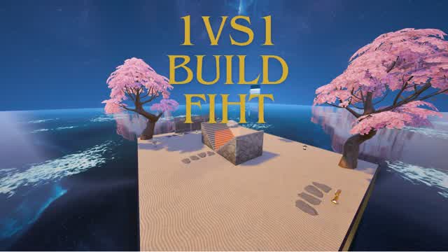 1vs1