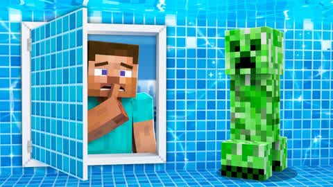SHHHHH STEVE 33 LVL