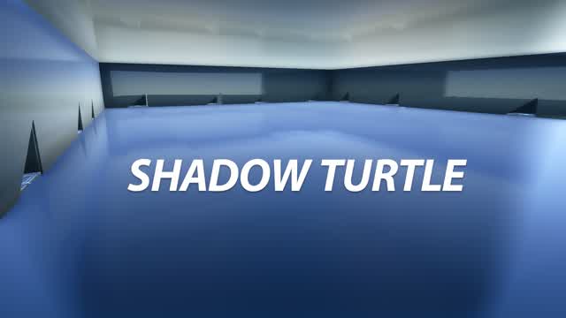 Capture 1 – SHADOW TURTLE