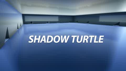 SHADOW TURTLE