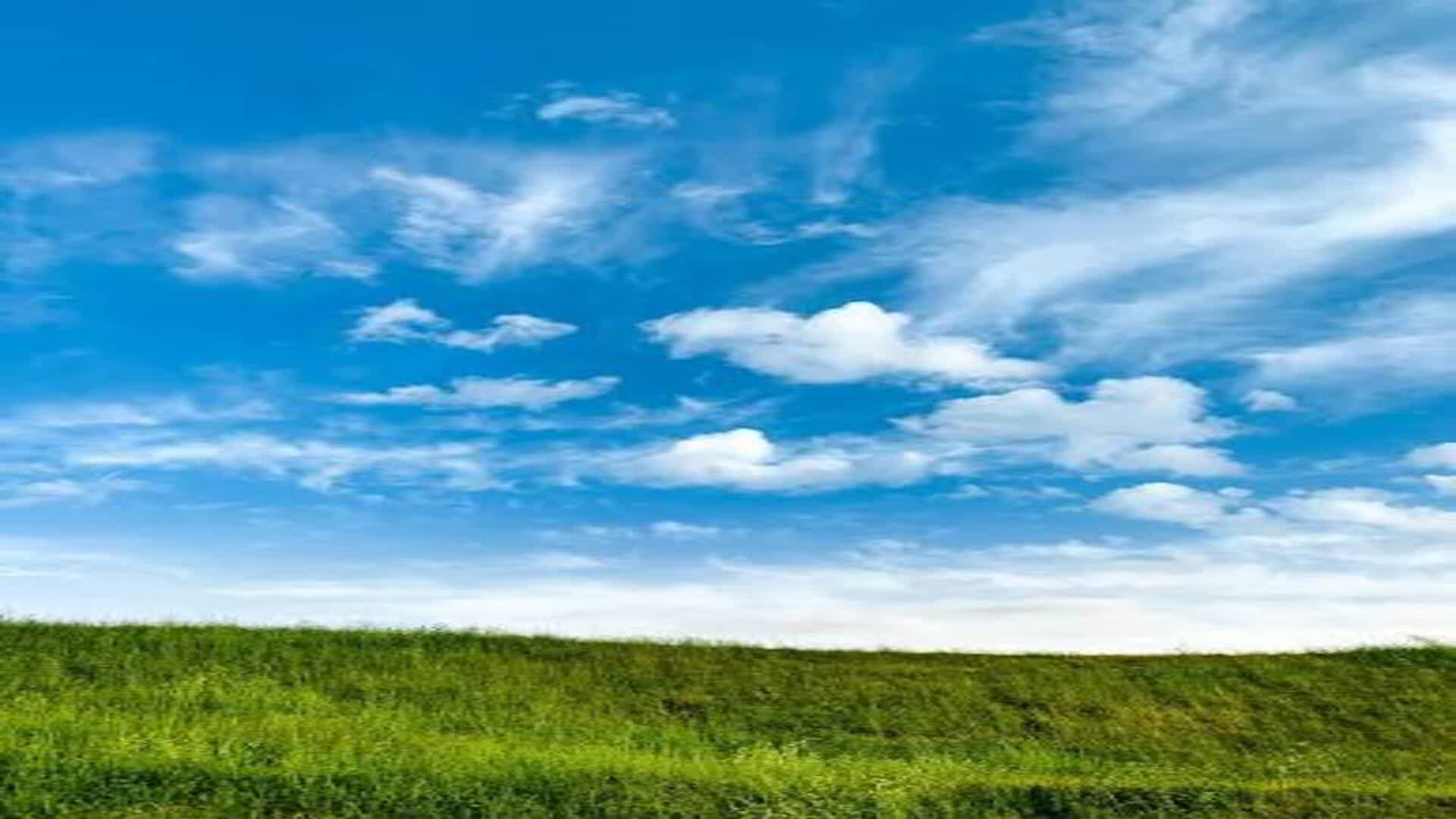 bvhuidsbvid