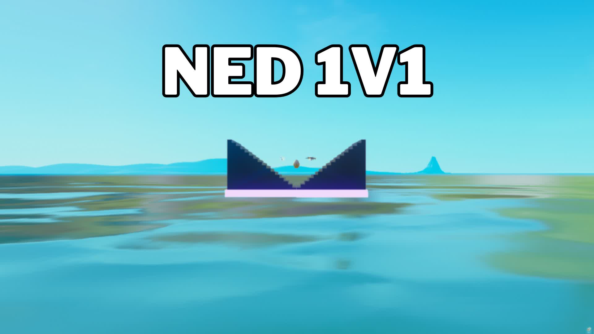 NED 1V1