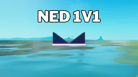 NED 1V1