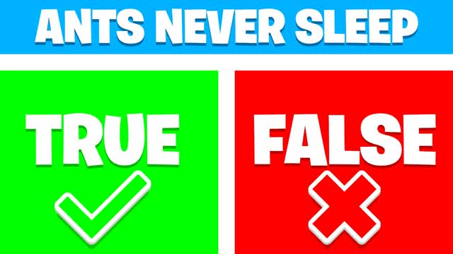 Capture 1 – Guess True or False