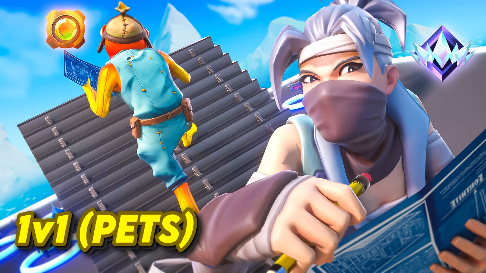 PETS 1v1