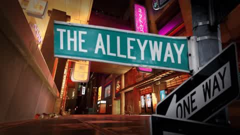 THE ALLEYWAY
