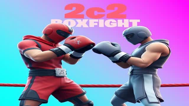 Random BoxFight 2vs2