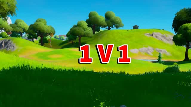 1 v 1