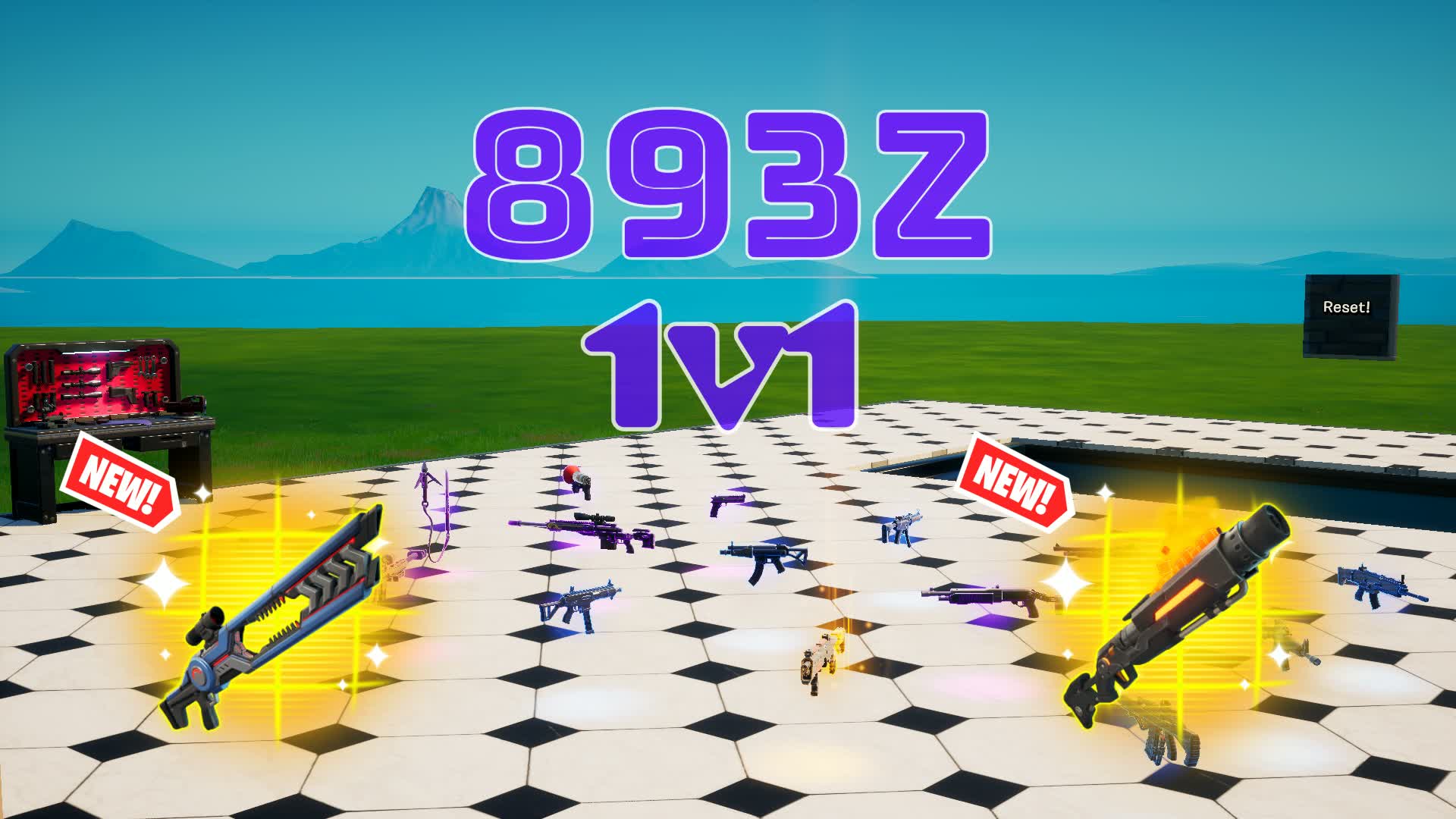 893z 1v1